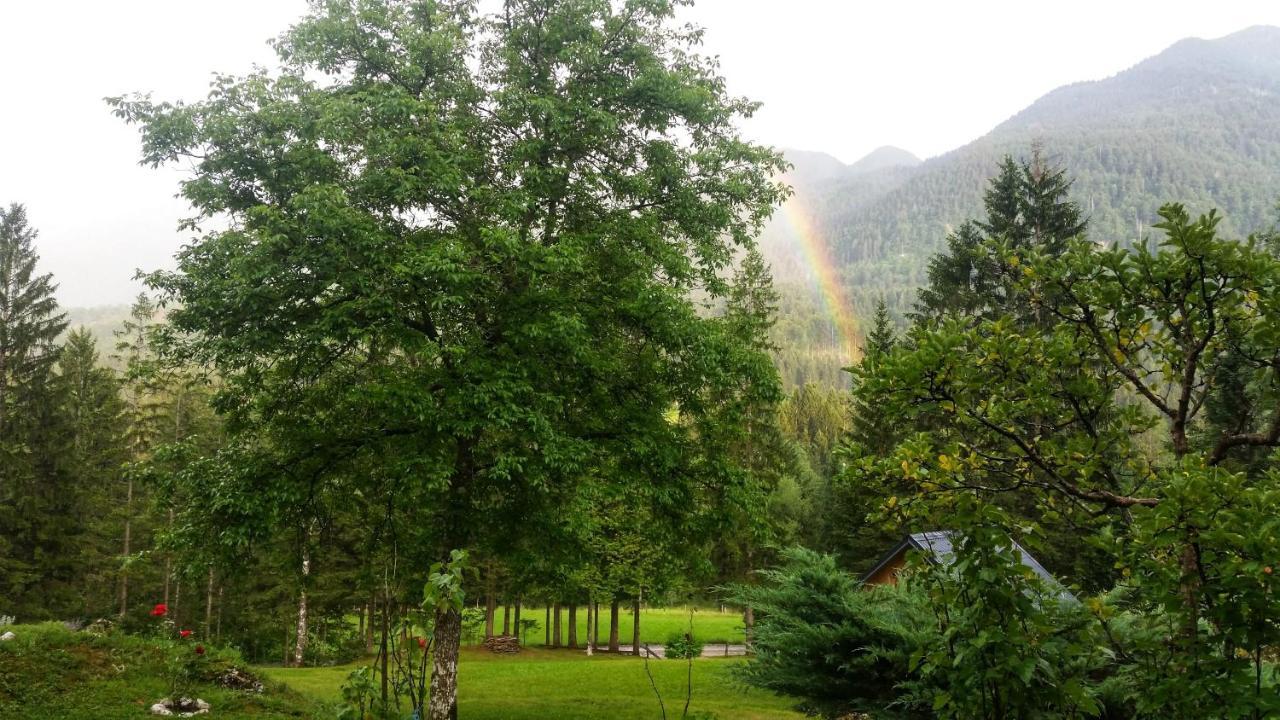 Pocitniska Hisa Eros Villa Bohinj Luaran gambar