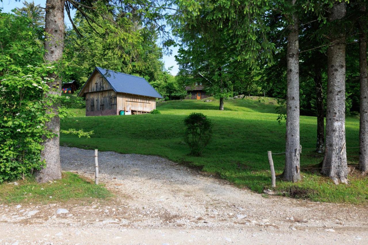 Pocitniska Hisa Eros Villa Bohinj Luaran gambar